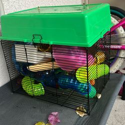 Hamster Cage With Lots of Essentially For It /random Hamster Stuff