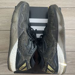 Size 12 - Adidas Crazylight Boost James Harden