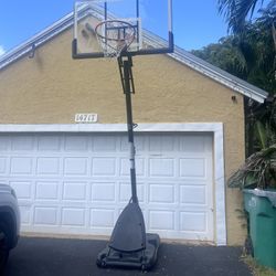 A Professional Basketballs Stand 