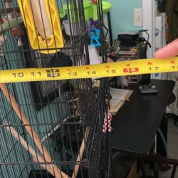  Bird Cage