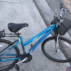 SideWinder Schwinn