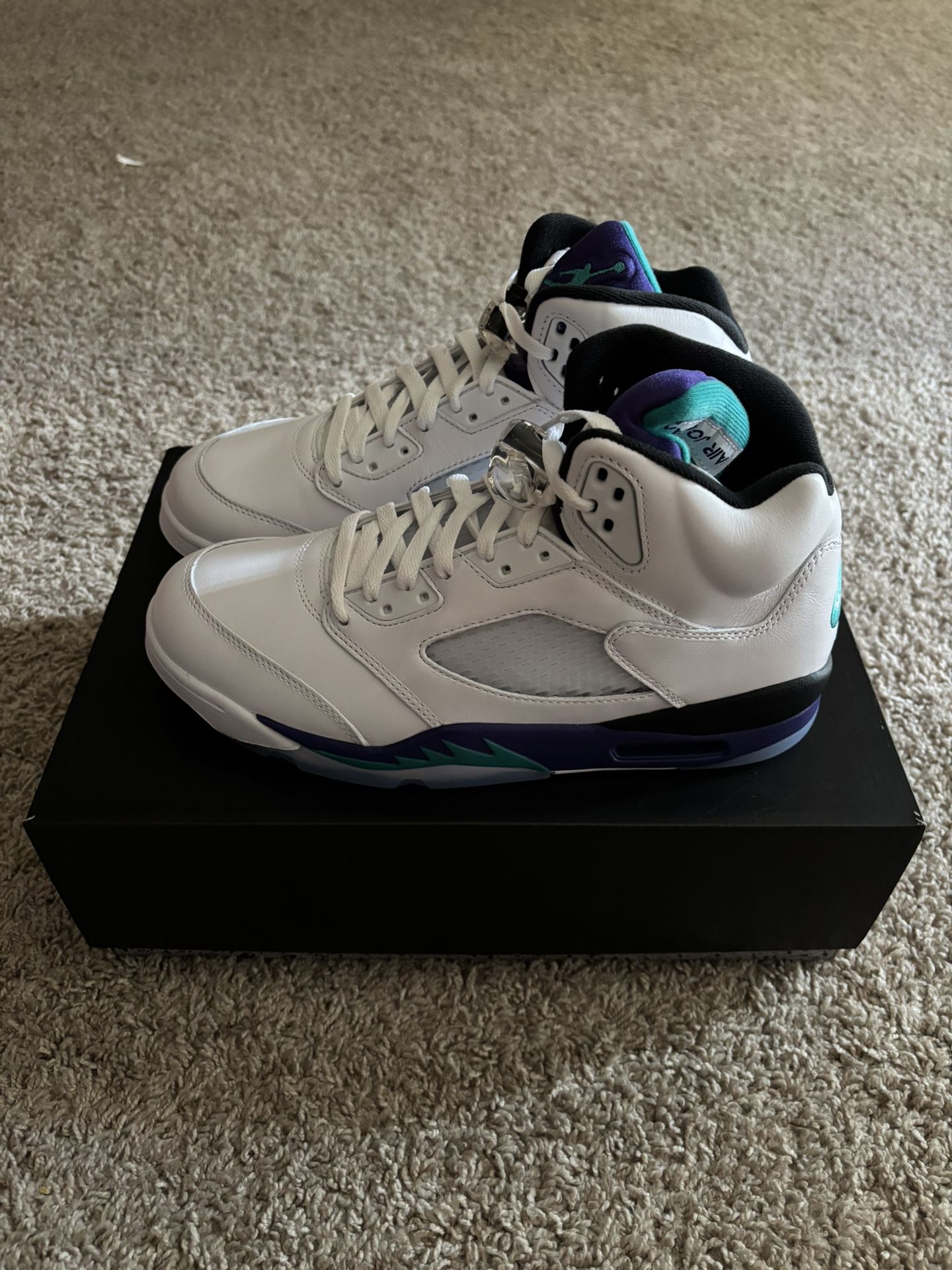 Air Jordan 5 Retro ‘ Grape’ Size 10.5