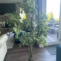 Faux Plant 