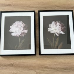 Threshold Framed Peonies