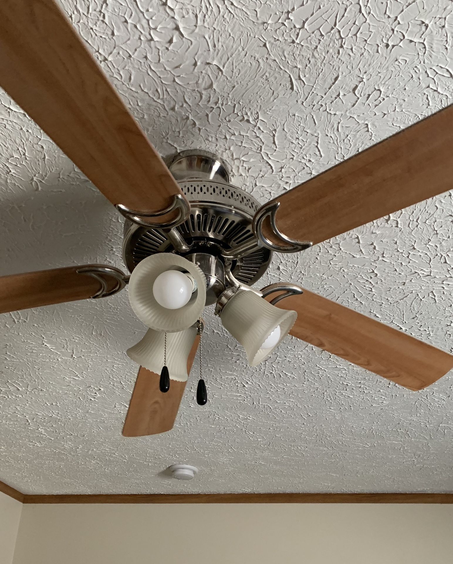 Ceiling fan and light fixture