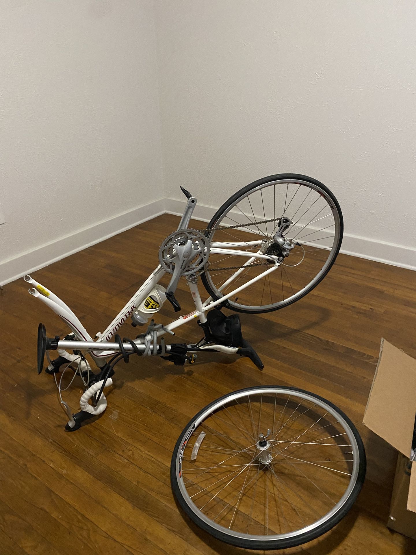 Specialized Road Bike
