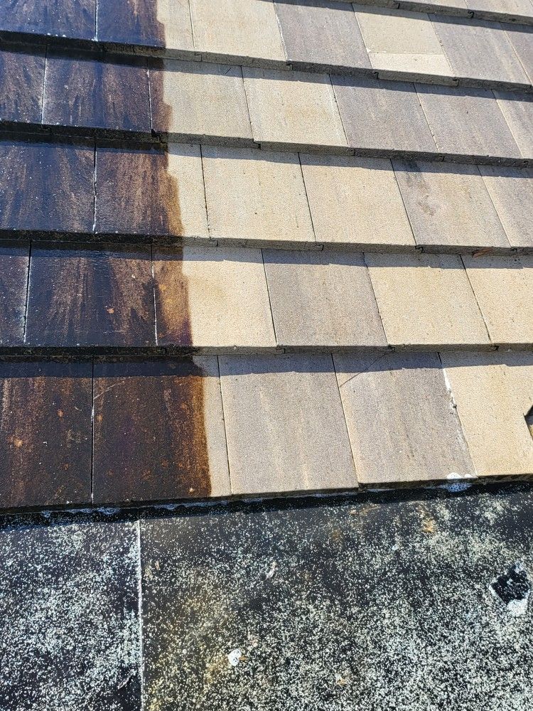 Roof  Softwashing • Pressure Cleaning•  Specialists 