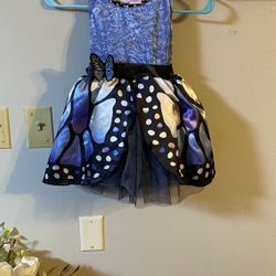 Butterfly Costume 