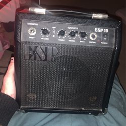 ESP 10 Amp