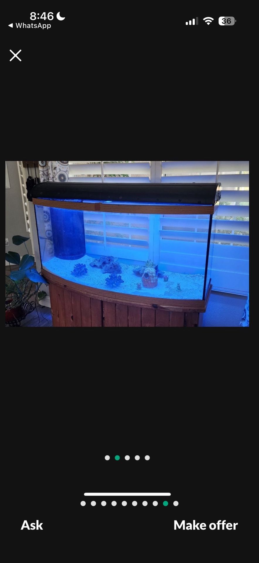 Spectacular Show Case Marine / Saltwater 60 Gallon Tank Aquarium