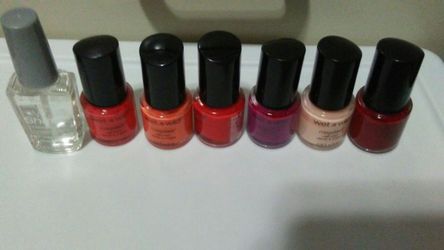 Wet n Wild