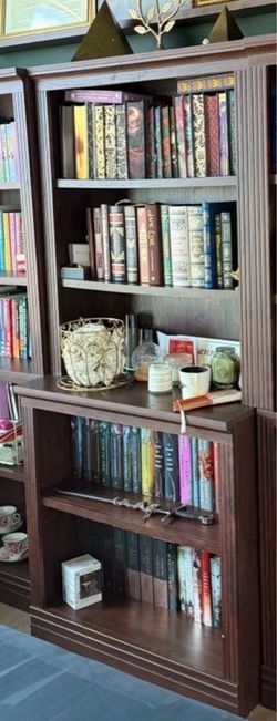 Dark Bookcase with Multiple Shelves