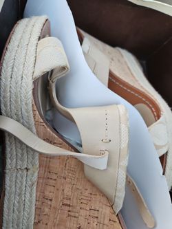 Coach Shoe For Lady's