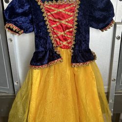 Disney Sleeping Beauty Costume 