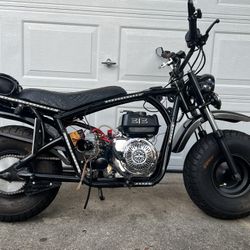 Mini Bike (Spider): 313 Street Legal 