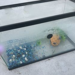 10 Gal Fish Tank