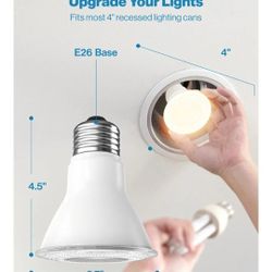 12 Pack PAR30 LED Bulb, Exterior Flood Lighting, 