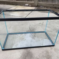 Two 10 gallon Fish Tanks!!!!!