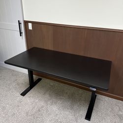 Linak System Sit/Stand Desk with Custom Desktop