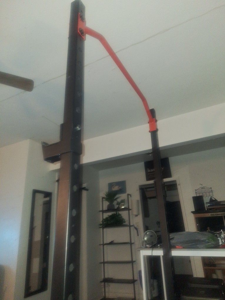 Sunny Squat Rack Setup, $300, OBO