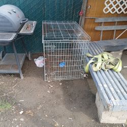 Big Dog Cage 
