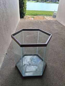 Hexagonal Glass Aquarium Tank 20x24"