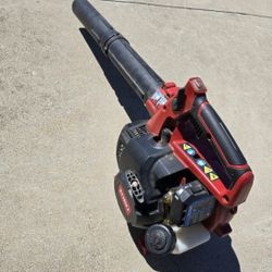 Gas Leaf Blower And Vacuum 