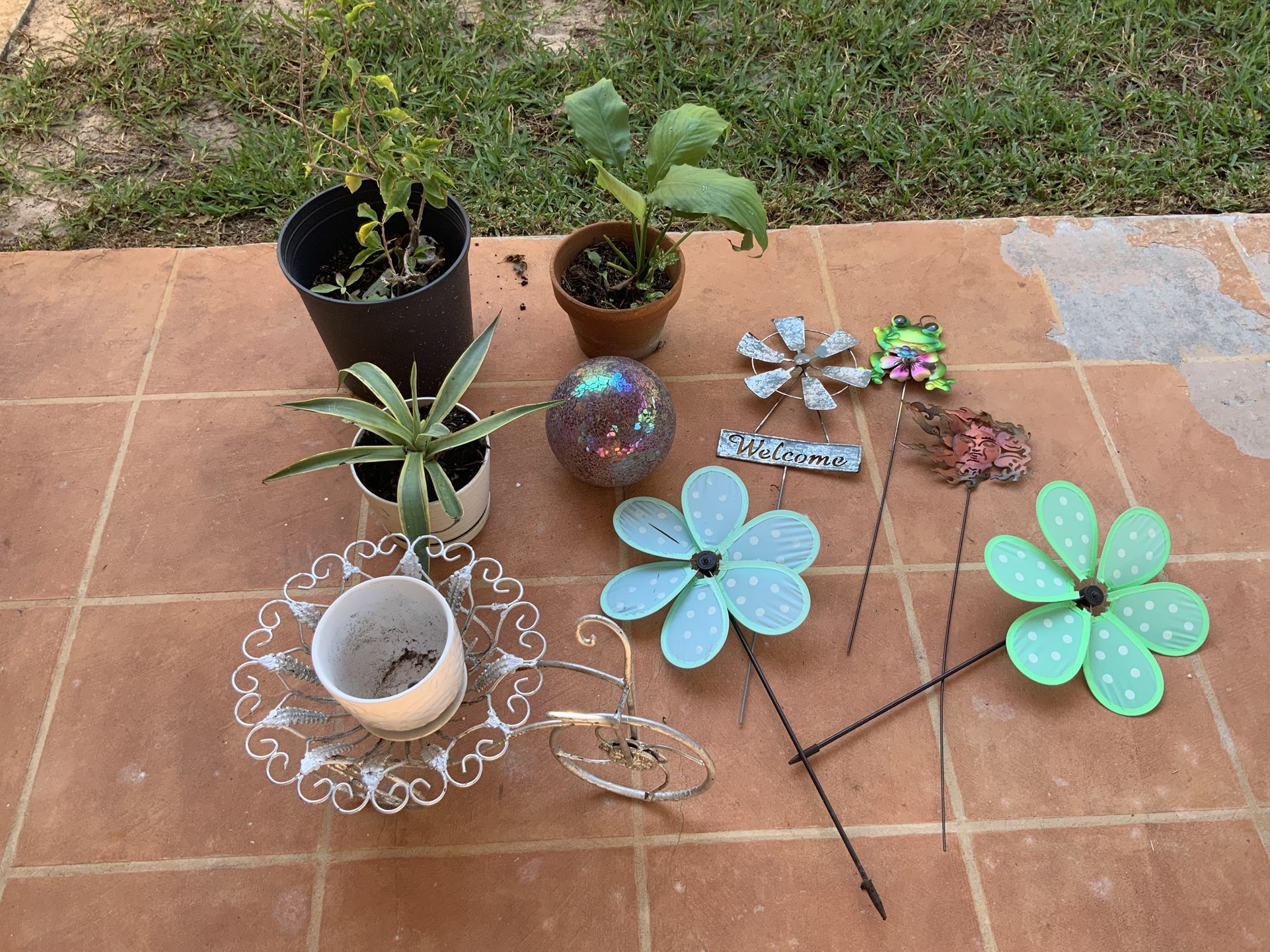 Plants And Garden Decor