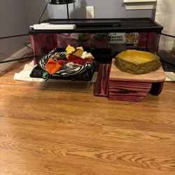 Reptile Setup And More