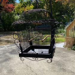 Bird Cage