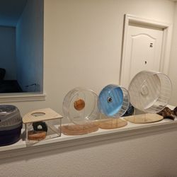 Hamster 🐹 Supplies