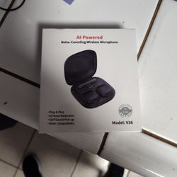Noise Canceling Wireless Microphone