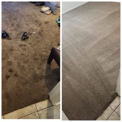 ××××STEAM ××××CARPET ×××× CLEANING 