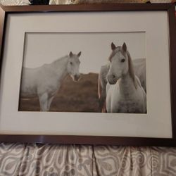 Picture Of Two White Horses In Metal Frame