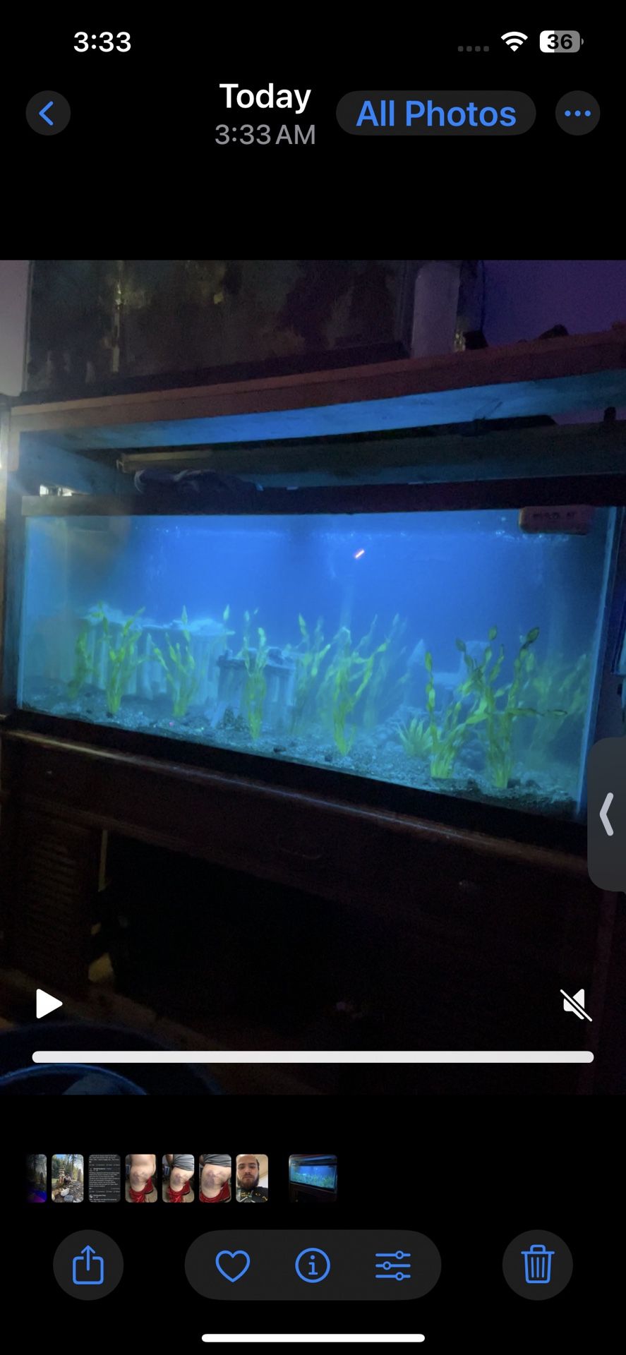 75 Gallon Tank