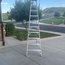 Werner Ladder 10’