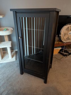 Black Wood Audio Cabinet with Glass Door