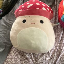 Squishmallow-Malcom 