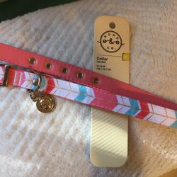 Female Dog Collar
