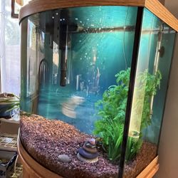 Aquarium For Sale
