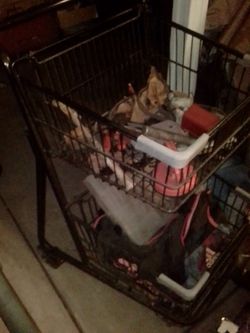Shopping Cart Medium Size