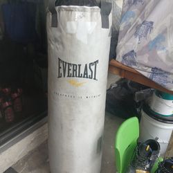 Everlast Heavy Bag