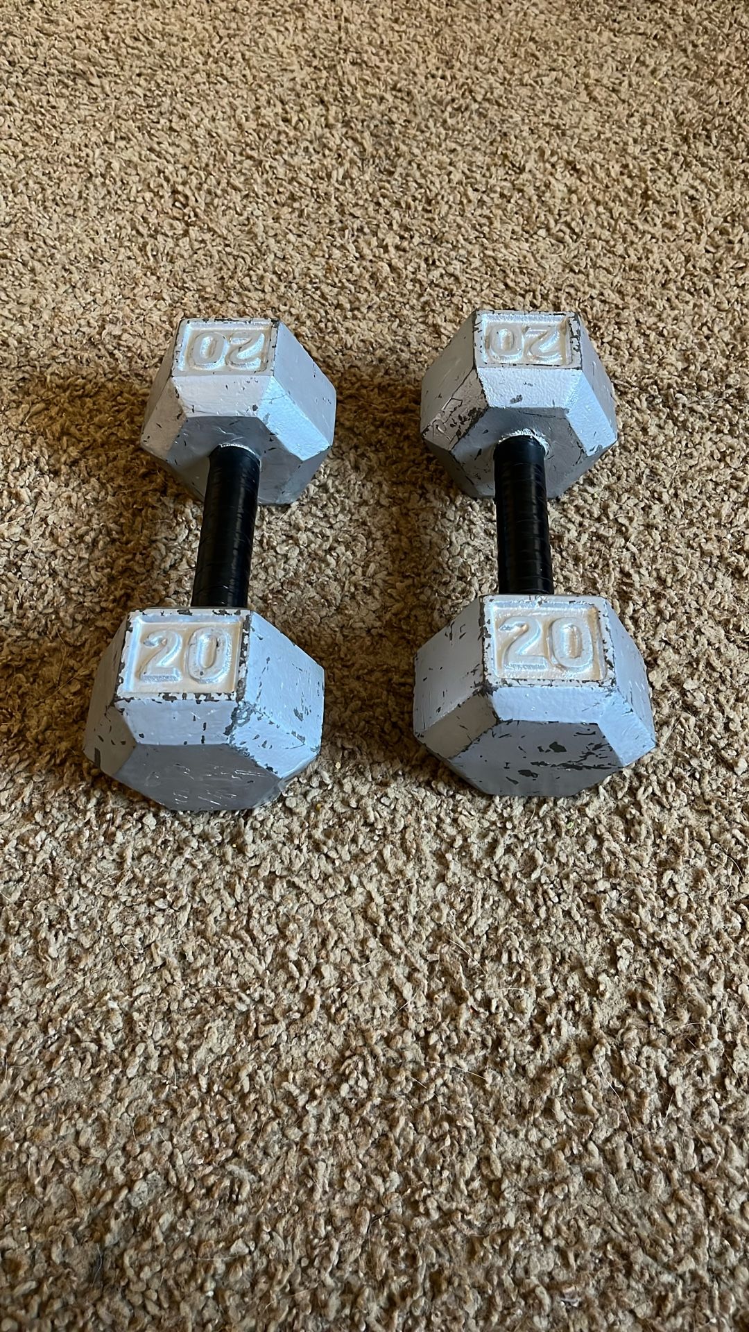 Two Twenty Pound Dumbbells.