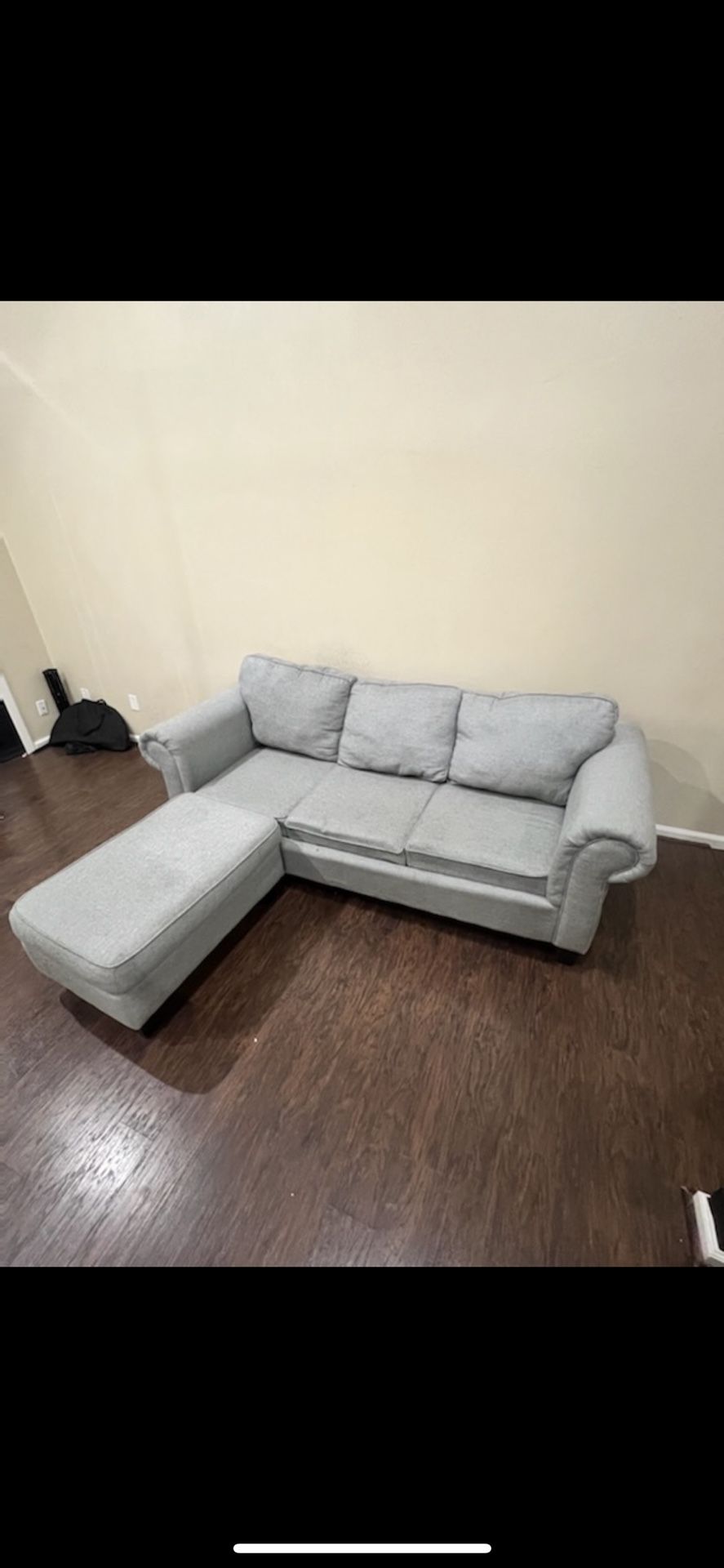 Couch + Pull Out Bed 