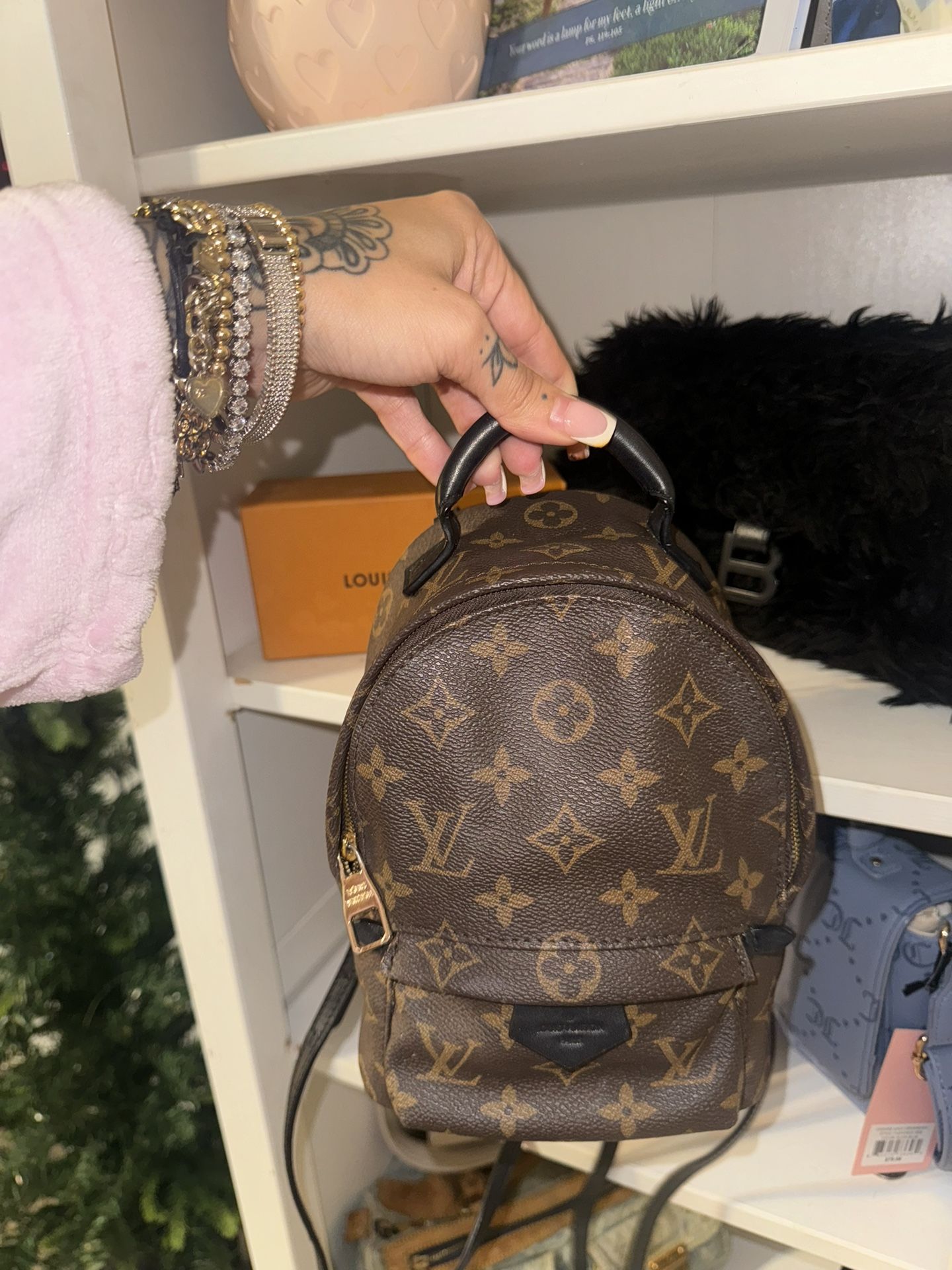 LOUIS VUITTON Palm Springs Mini Backpack