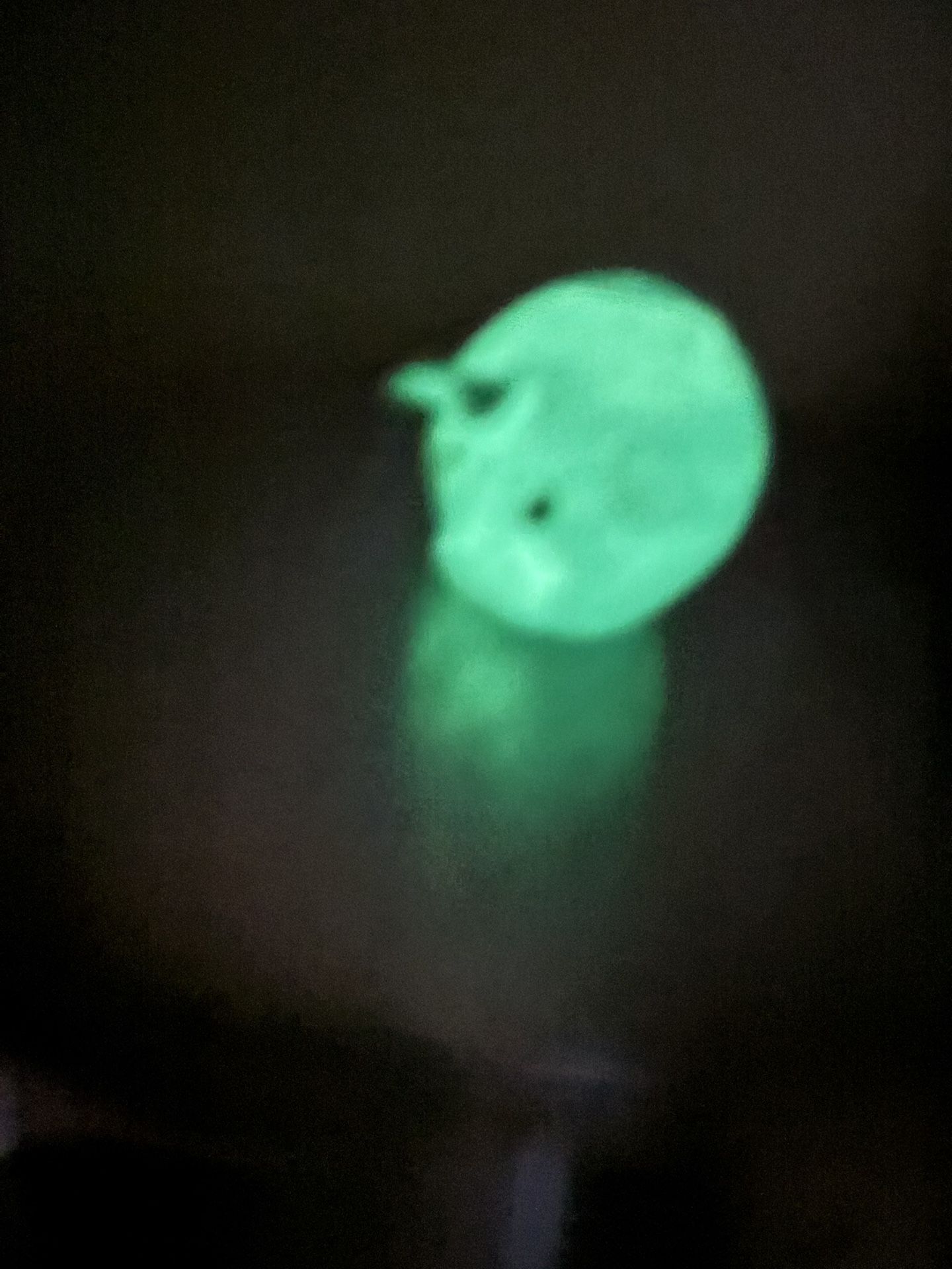 Glow In The Dark 