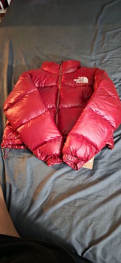 The north face jacket