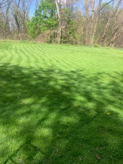 Mowing