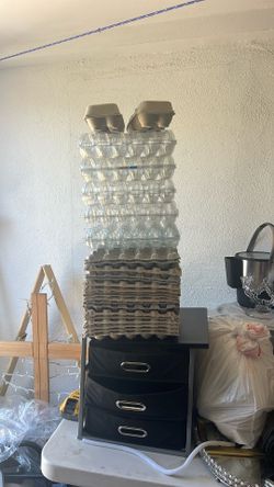 Egg Trays