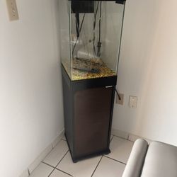 Fish Tank.   ( Pecera )